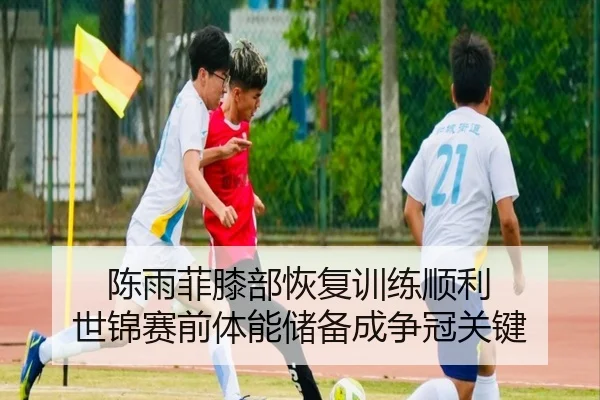 陈雨菲膝部恢复训练顺利 世锦赛前体能储备成争冠关键